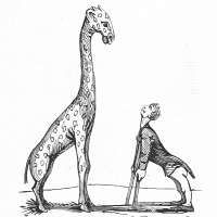 Grabado de una jirafa de perfil mirando a un hombre también de perfil parado sujetando muletas para simular la postura de la jirafa.