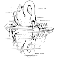 Line drawing of a swan looking at its reflection in a body of water