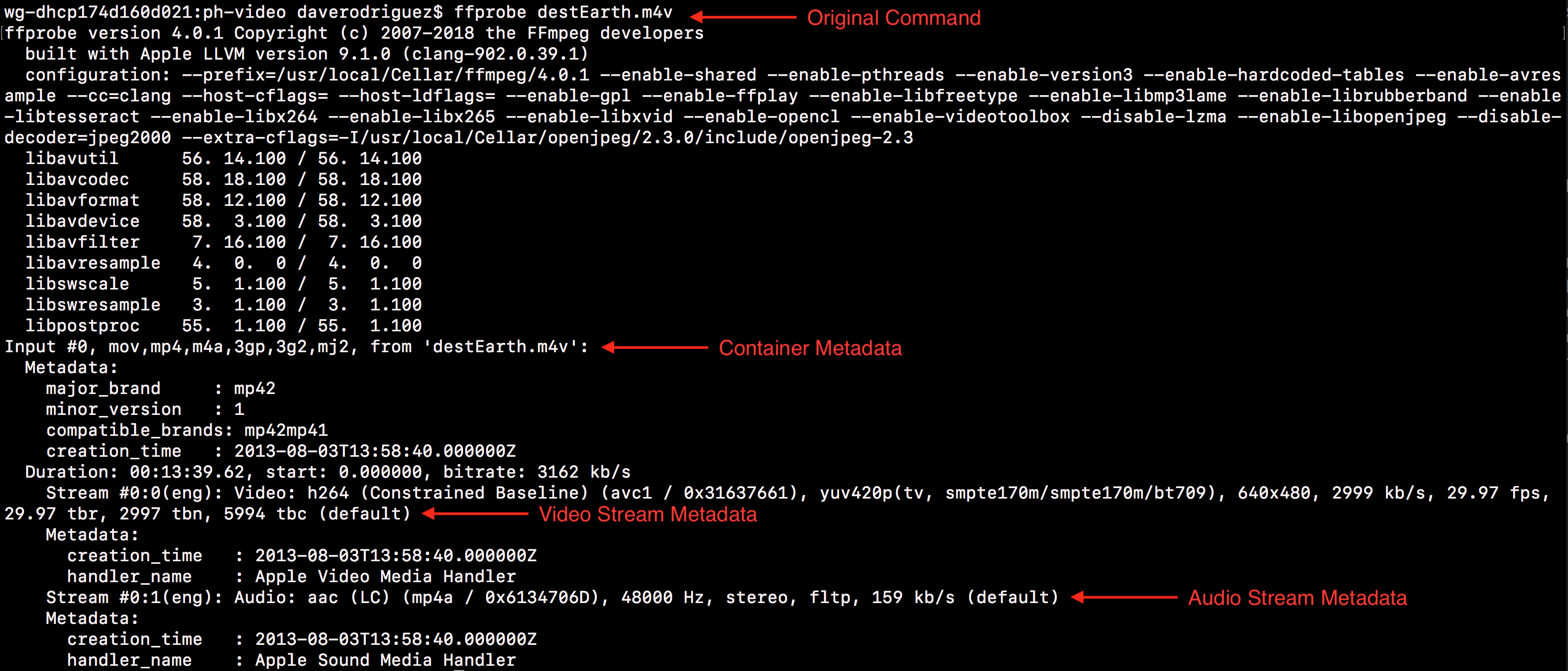 The output of a basic `ffprobe` command with destEarth.m4v