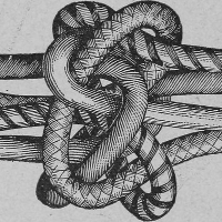 An image of a knot with many ropes