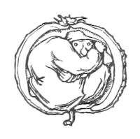 Simple line drawing of a round goblin in a cloak and hat, tucked inside a chestnut.