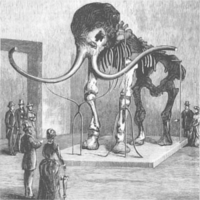 Ilustración del esqueleto de un mamut en la exhibición de un museo, con gente a su alrededor.