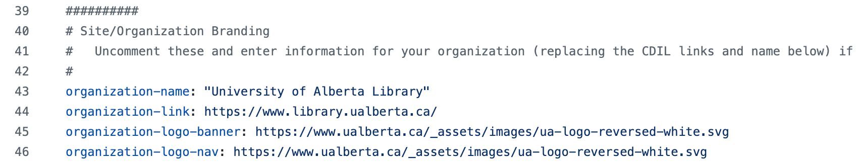 Screenshot of the relevant text in the config.yml file for updating your organizational information.