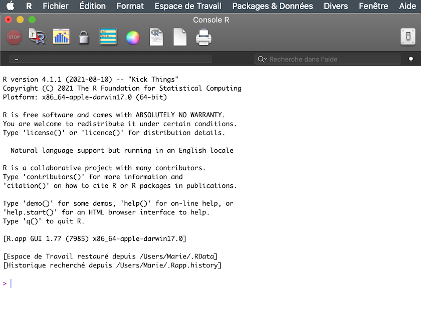 La console de R sur un ordinateur Mac telle qu'elle apparait quand on l'ouvre